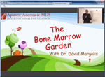 Bone Marrow Garden