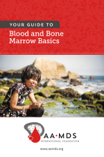 Thumbnail - Blood and Bone Marrow Basics