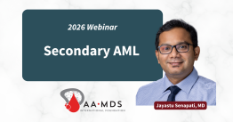 2026 Webinar: Secondary A-M-L