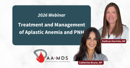 Graphic: 2026 webinar for Treatment and Management of Aplastic Anemia and P-N-H