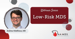 Webinar: Low-Risk M-D-S