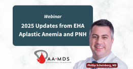 Webinar: 2025 Updates from E-H-A on Aplastic Anemia and P-N-H